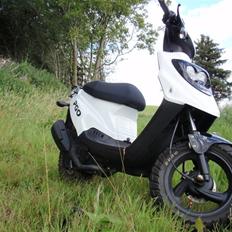 PGO Hot 50 Special Model !!SOLGT!!