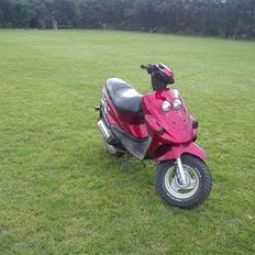 Adly Falcon Big Wheel