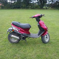 Adly Falcon Big Wheel