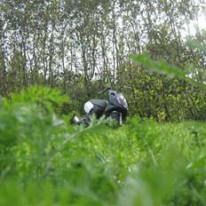 Aprilia sonic byttet til sr urban