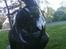 PGO Pmx Sport
