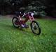 Puch Maxi (Byttet til Booster)