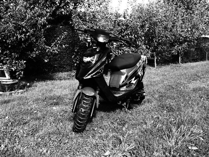 PGO Hot 50 SP "STJÅLET" IGEN! billede 1