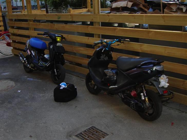 PGO black magic/Chamæleon billede 8