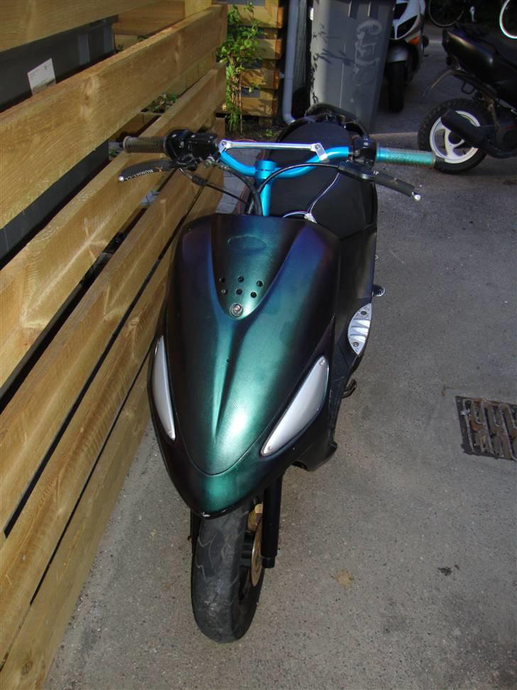 PGO black magic/Chamæleon billede 9