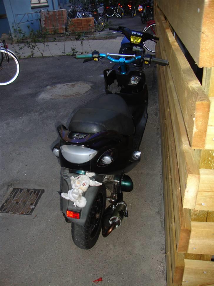 PGO black magic/Chamæleon billede 10