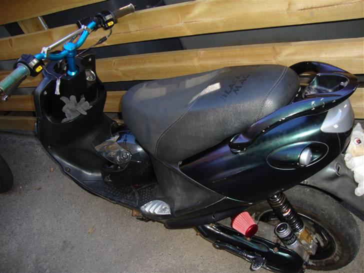 PGO black magic/Chamæleon billede 11