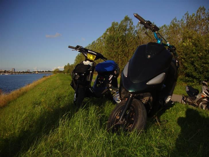 PGO black magic/Chamæleon billede 12