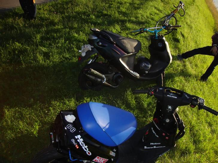 PGO black magic/Chamæleon billede 13