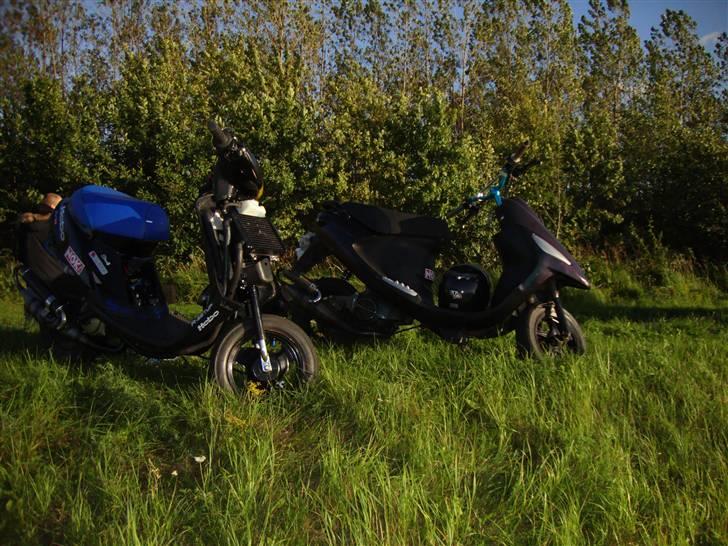 PGO black magic/Chamæleon billede 14