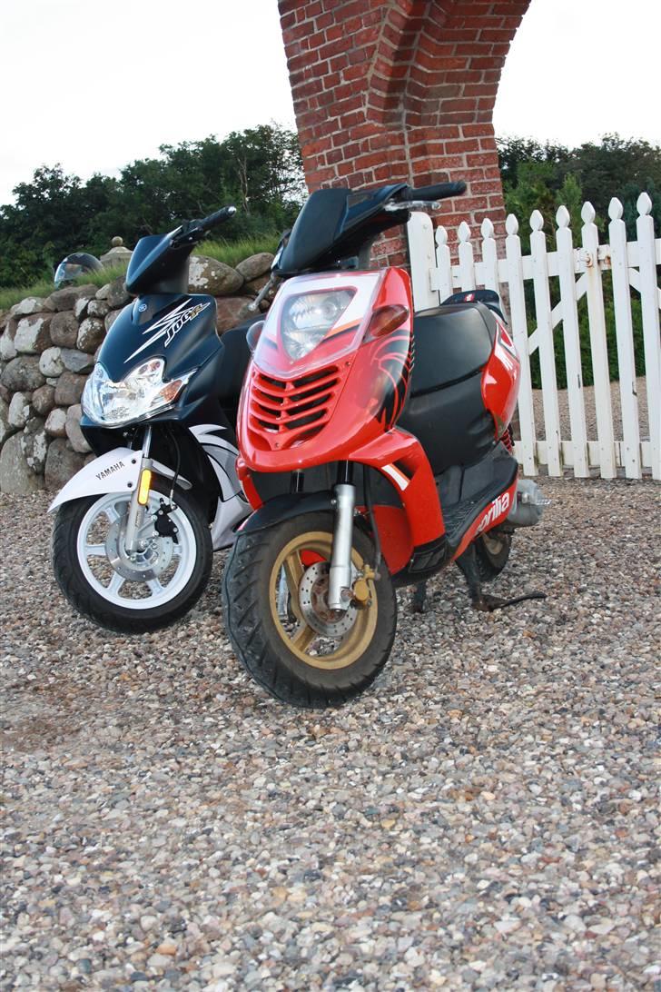 Aprilia Sonic billede 11