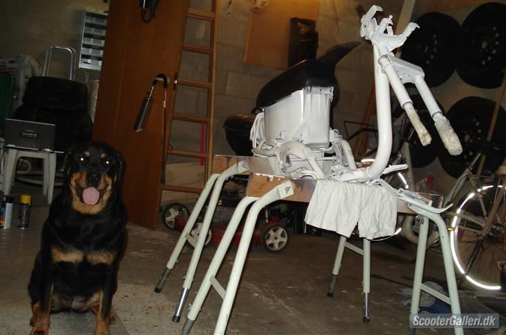 Yamaha Jog As - fars lille tøs med i værkstedet (; billede 10