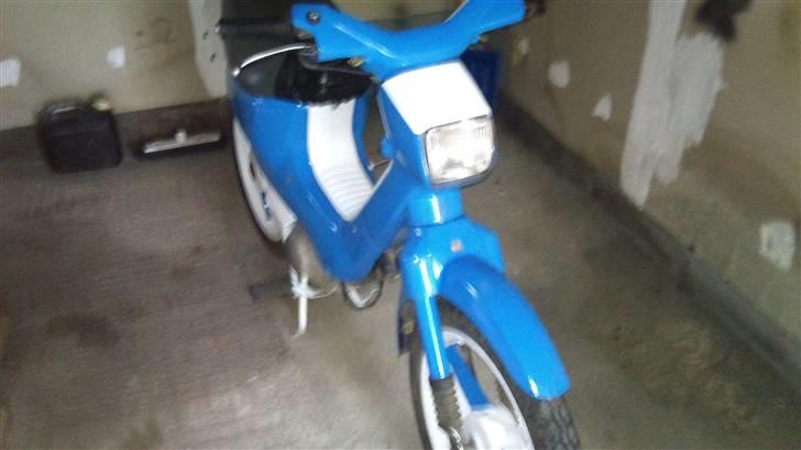 Honda wallaroo (SOLGT) billede 1