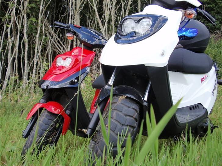 PGO Hot 50 Special Model !!SOLGT!! - Med Chris´s røde/sorte Hot billede 5