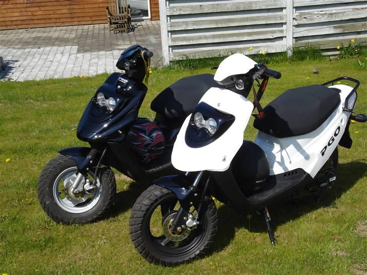 PGO Hot 50 Special Model !!SOLGT!! - Med Jepsen´s sorte Hot billede 7