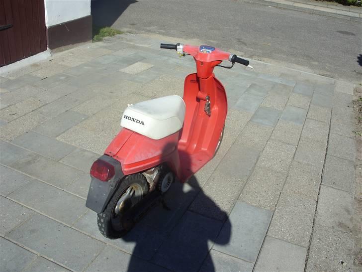 Honda Melody mini  billede 2