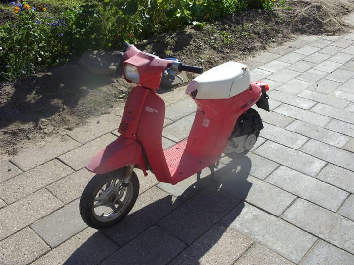 Honda Melody mini  billede 4