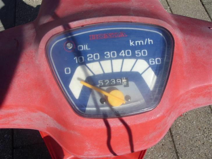 Honda Melody mini  billede 5