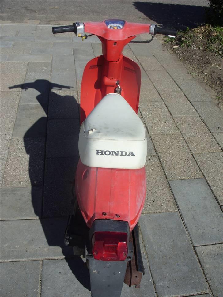 Honda Melody mini  billede 6