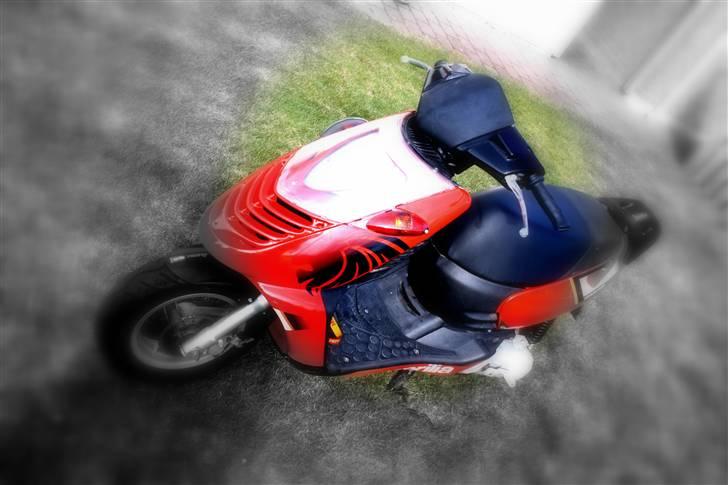 Aprilia Sonic billede 14