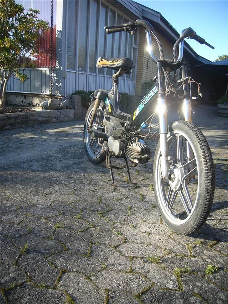 Puch Maxi P1L billede 6