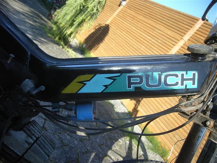 Puch Maxi P1L billede 7