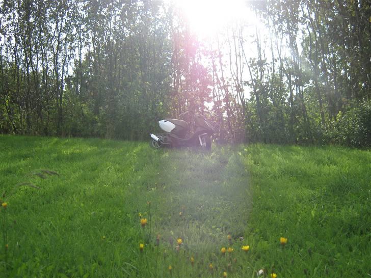 Aprilia sonic byttet til sr urban billede 1