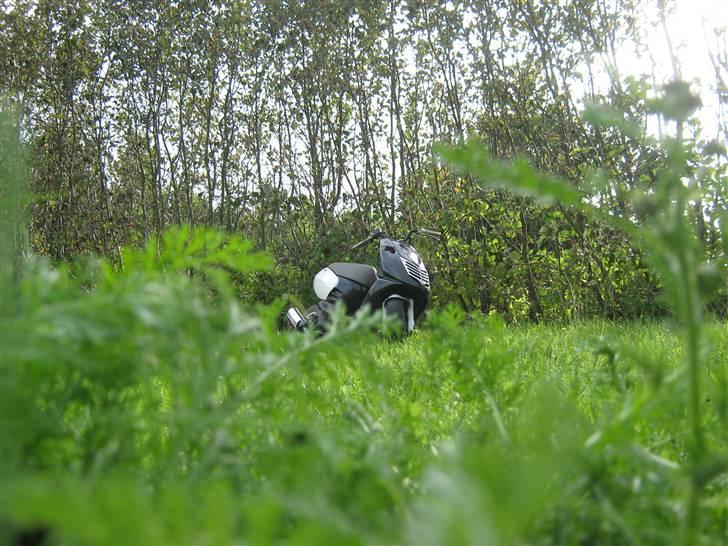 Aprilia sonic byttet til sr urban billede 2