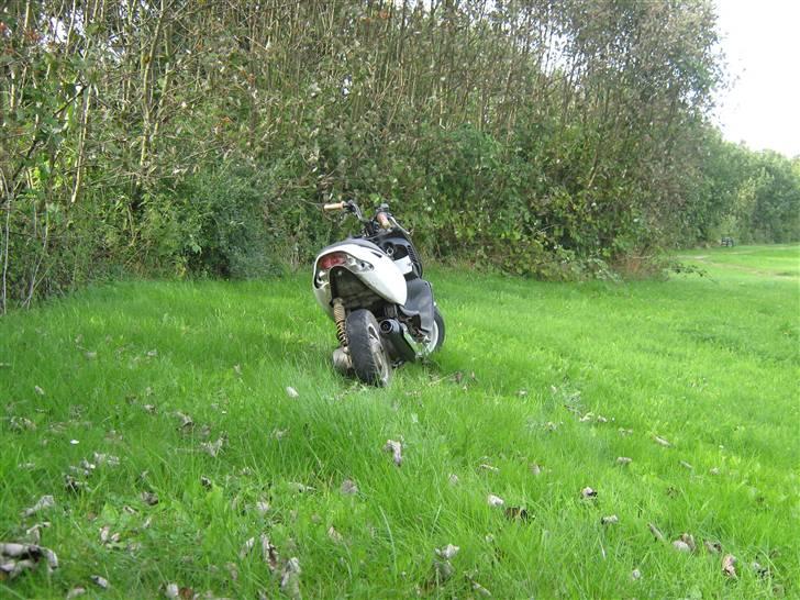 Aprilia sonic byttet til sr urban billede 5