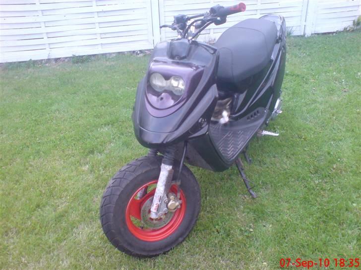 PGO Hot 50  billede 4