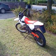 Gilera RCR 