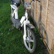 Piaggio vespa ciao SOLGT