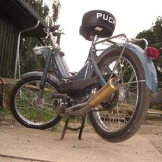 Puch maxi