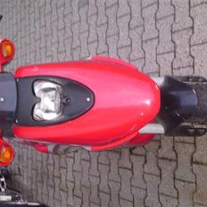 Derbi hunter (solgt)