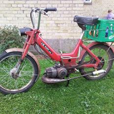Puch Maxi-"ZA50 Projekt"