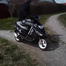 Honda SFX (stjålet og total smadret)