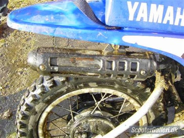 Yamaha PW 80 billede 7