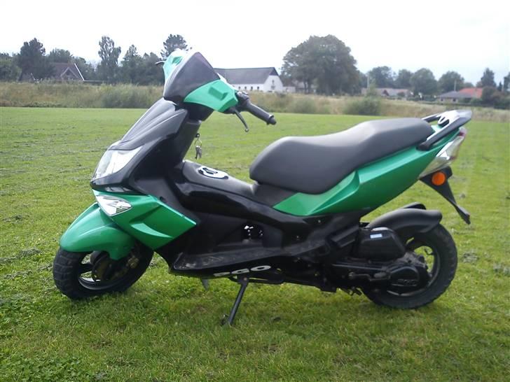PGO g-max billede 3