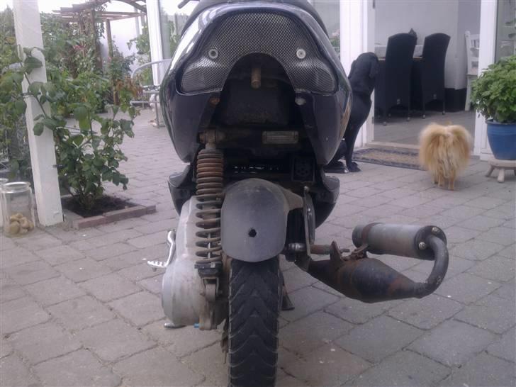 Aprilia Sonic ''ax0''<3>>BYTTES<< - Hun ser lidt hård ud var :o) billede 3