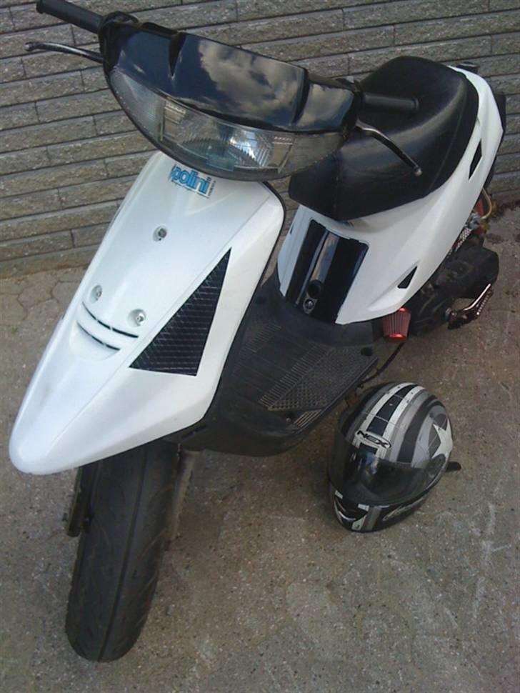 Adly cat 50 billede 17