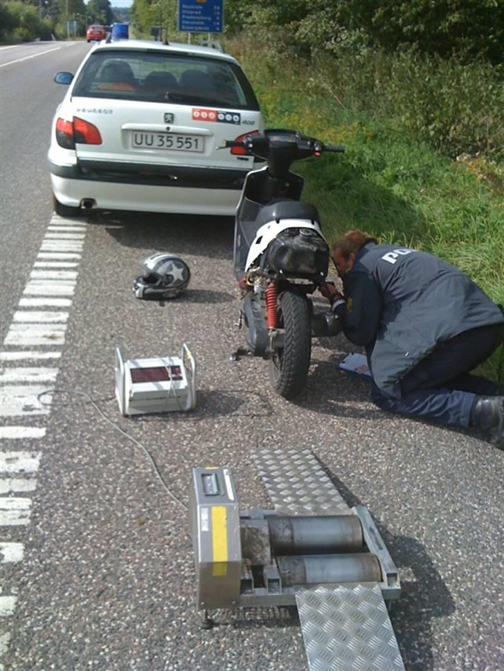 Adly cat 50 billede 18