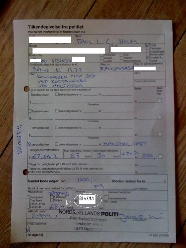 Adly cat 50 billede 20