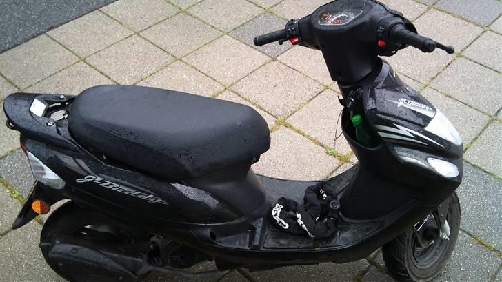 Giantco G-Buddy (Solgt) billede 2