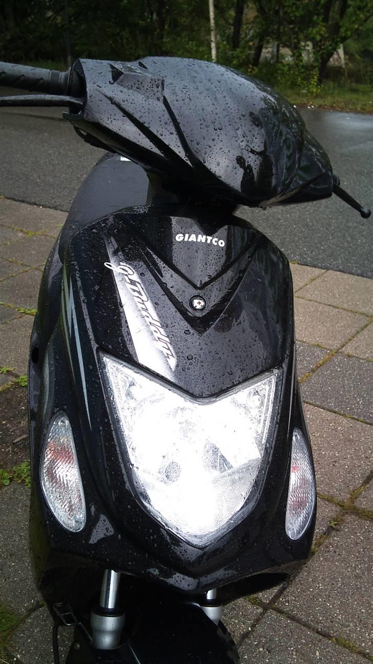 Giantco G-Buddy (Solgt) billede 6