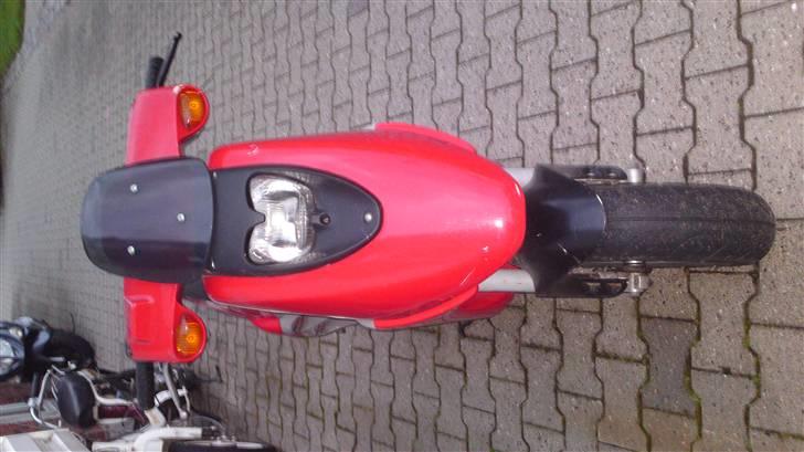 Derbi hunter (solgt) billede 3