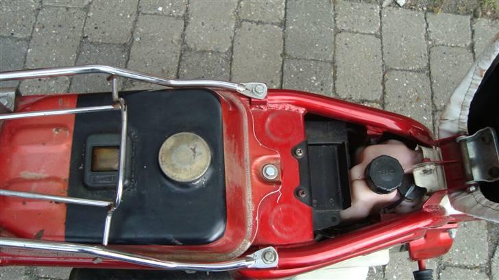 Suzuki FZ 50 billede 5