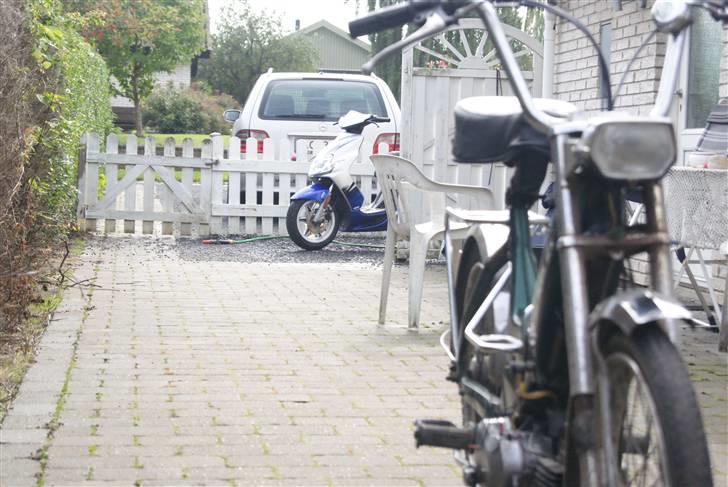 Puch Maxi K billede 3