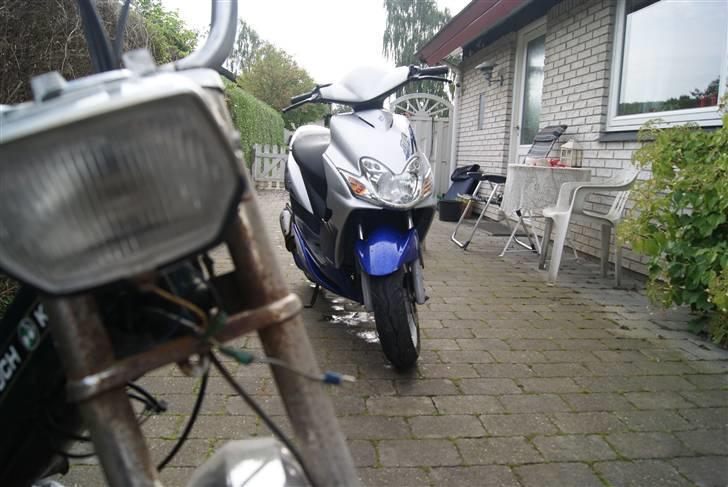 Puch Maxi K billede 7