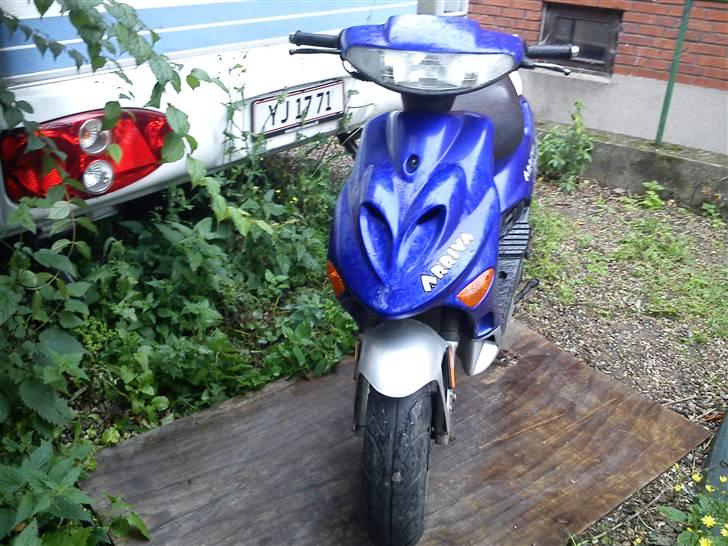 Adly  ARRIVA R.I.P brændt billede 5