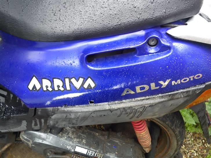 Adly  ARRIVA R.I.P brændt billede 8